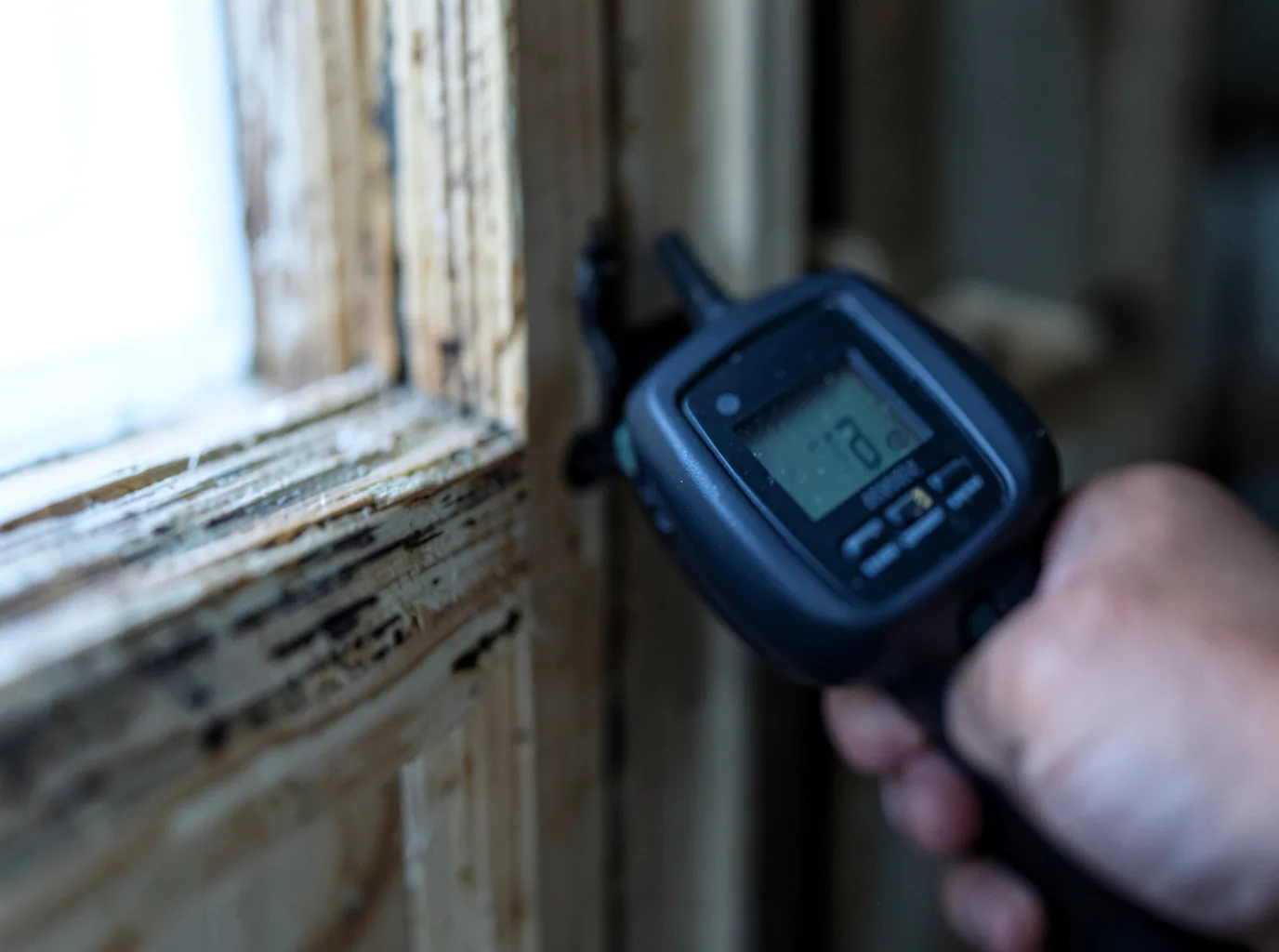 Commercial Water Damage Restoration in Hokah, MN